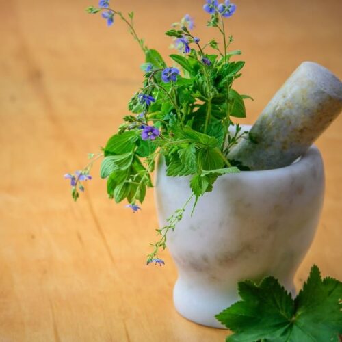 Los mejores menús de verano para personas mayores