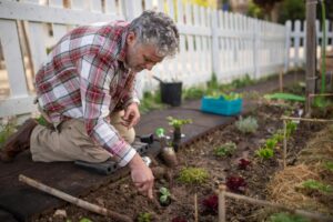 Actividades al aire libre adaptadas a ancianos para disfrutar en verano