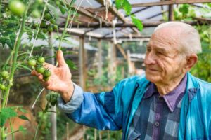 Consejos para cuidar a un anciano con insuficiencia renal