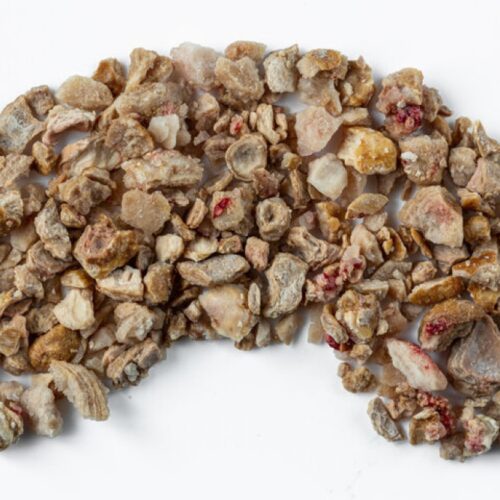 Qué debes saber sobre la insuficiencia renal en ancianos de 90 años