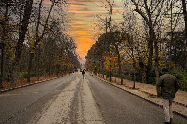 Parque El Retiro, Madrid