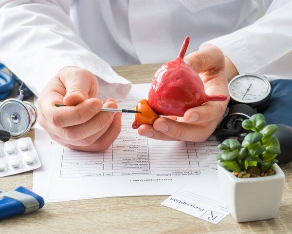Médico indicando las zonas de una réplica de una próstata