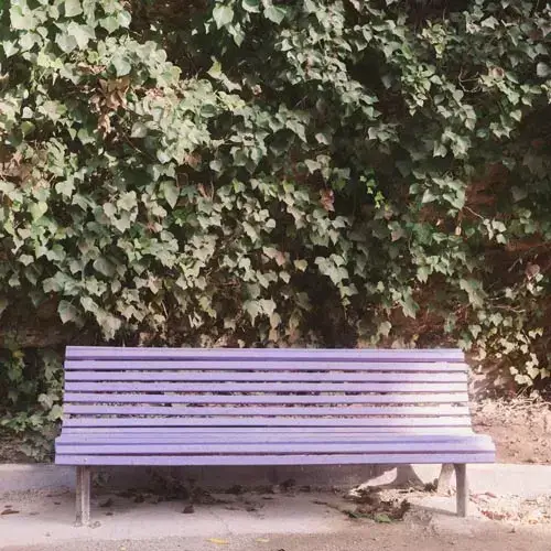 Banco morado situado en un parque